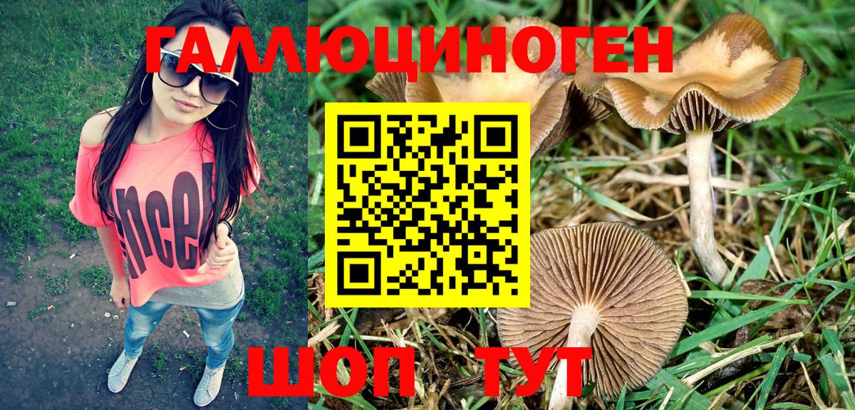 Нижний Тагил  Псилоцибиновые грибы MAGIC MUSHROOMS  Вход с VPN 