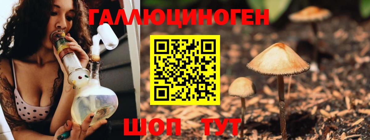Псилоцибиновые грибы GOLDEN TEACHER Нижний Тагил